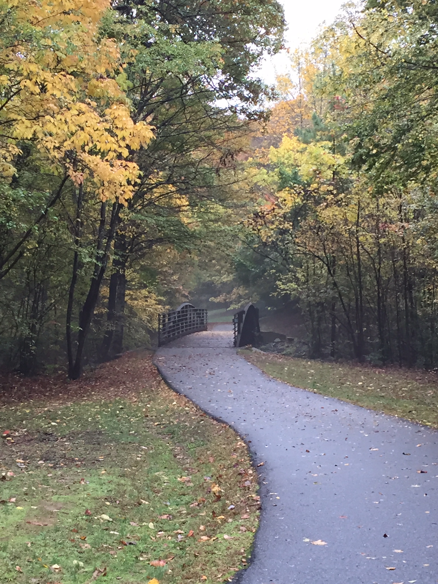 walk on the greenway